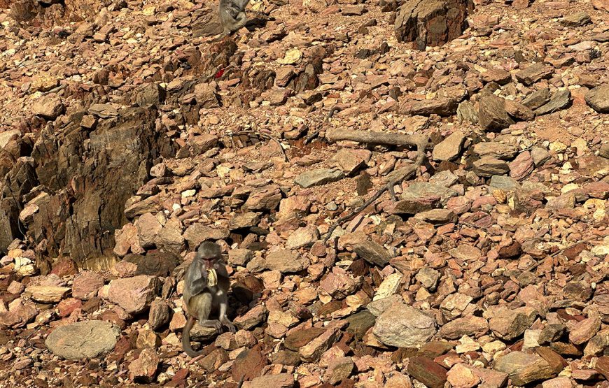 Private tour: Two-day Loc Yen – Phu Ninh