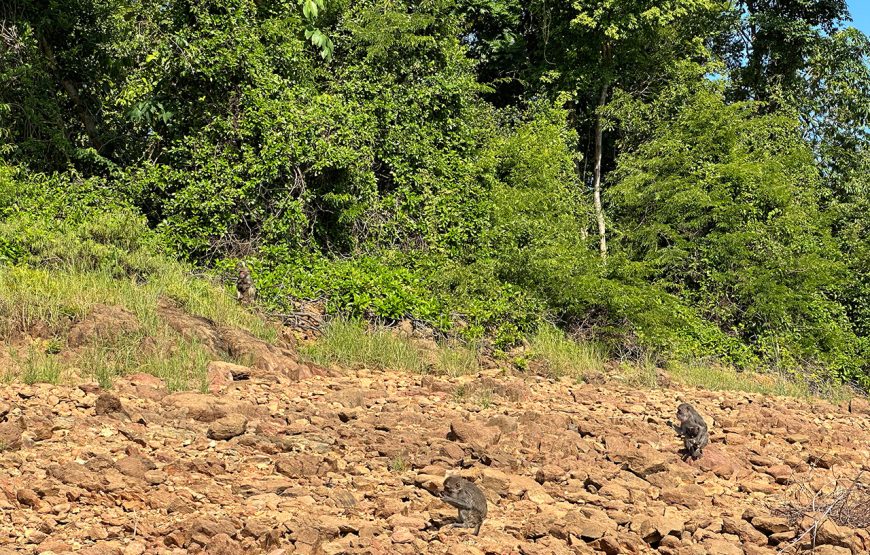 Private tour: Two-day Loc Yen – Phu Ninh