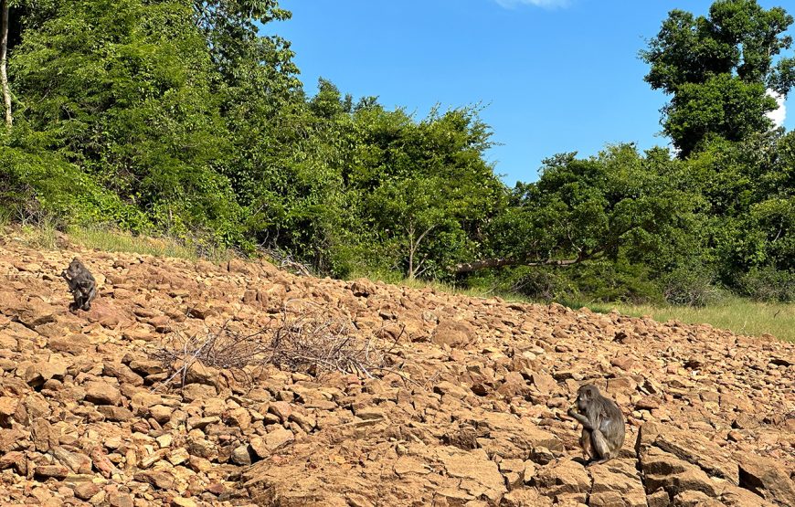 Private tour: Two-day Loc Yen – Phu Ninh