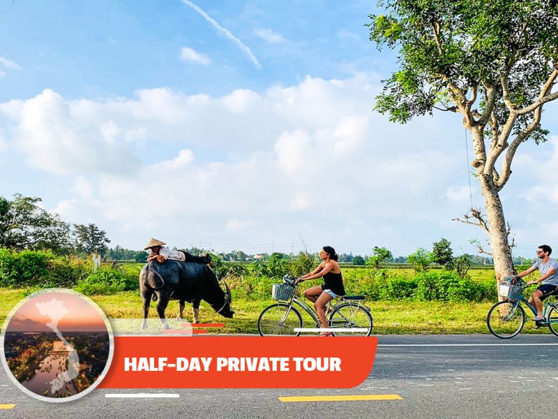 Private tour: Half-day Art Of Green In Hoi An