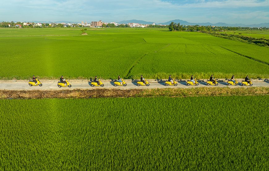 Private tour: Half-day Hoi An Countryside & Artists By Electric Scooter