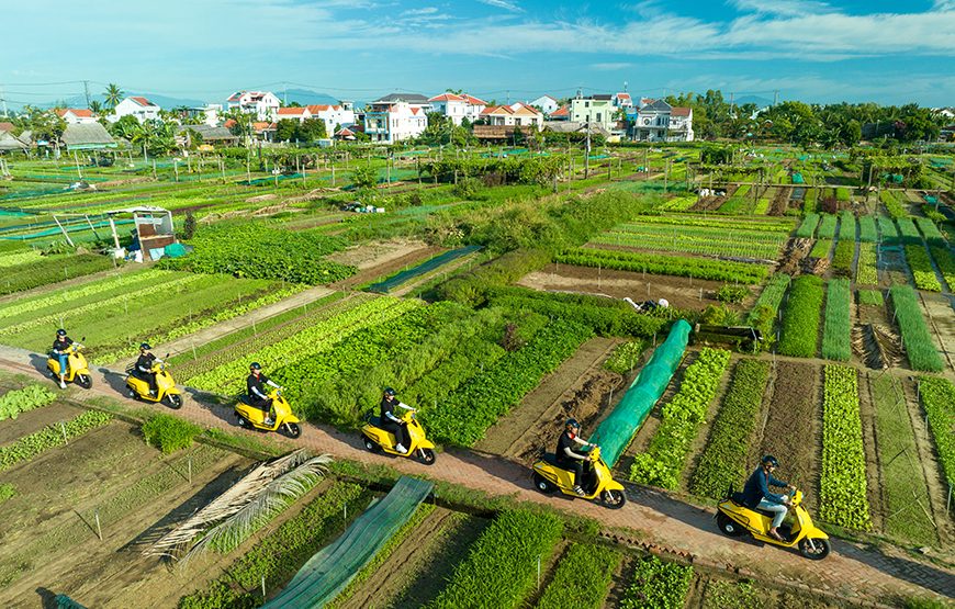 Private tour: Half-day Hoi An Countryside & Artists By Electric Scooter