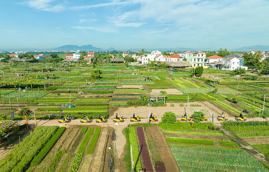 Private tour: Half-day Hoi An Countryside & Artists By Electric Scooter