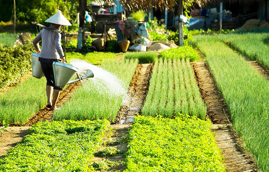 Half-day Hoi An Sunrise Or Sunset Photo Tour
