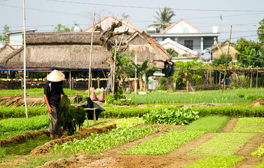 Half-day Hoi An Sunrise Or Sunset Photo Tour