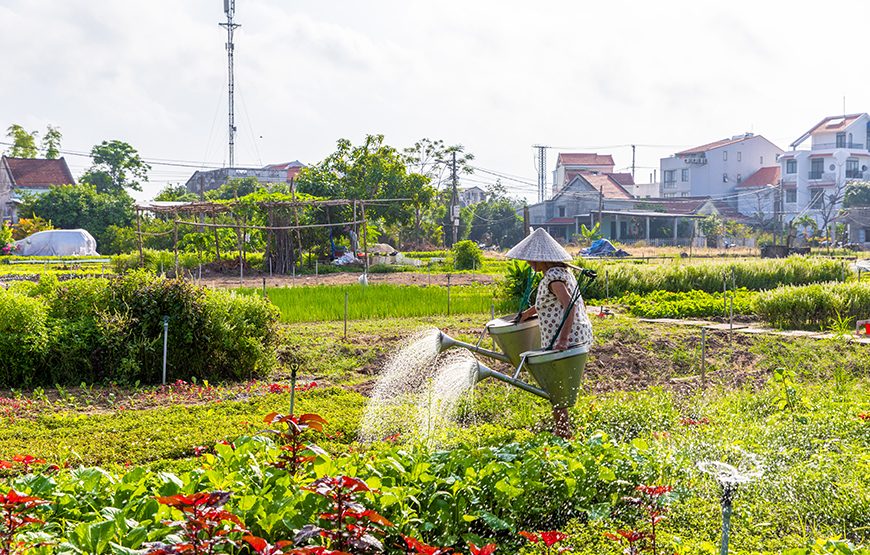 Half-day Hoi An Sunrise Or Sunset Photo Tour