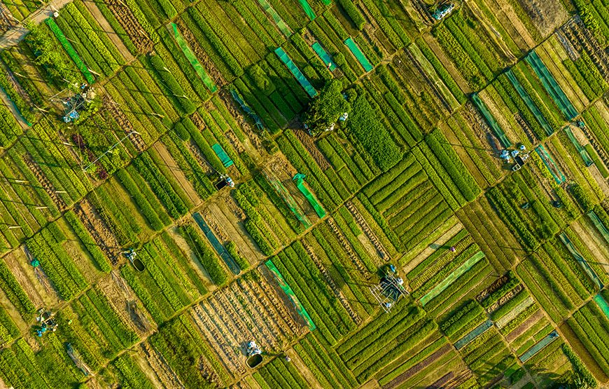 Half-day Hoi An Sunrise Or Sunset Photo Tour