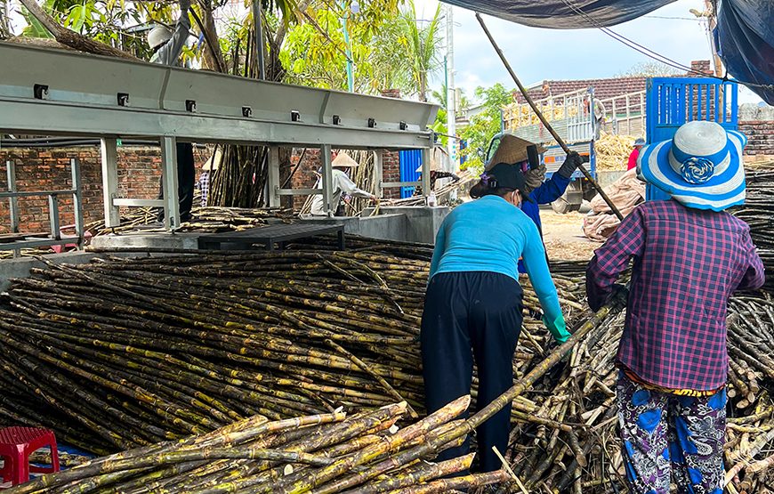 Full-day Countryside Trip To Hoi An’s South And An Exploration Of Sampan Producing