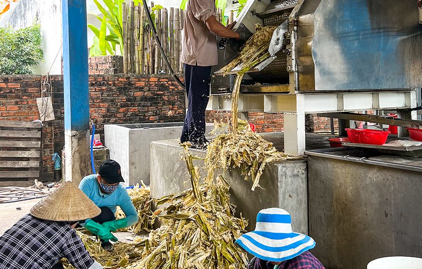 Full-day Countryside Trip To Hoi An’s South And An Exploration Of Sampan Producing