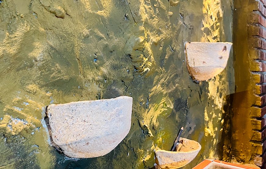 Full-day Countryside Trip To Hoi An’s South And An Exploration Of Sampan Producing