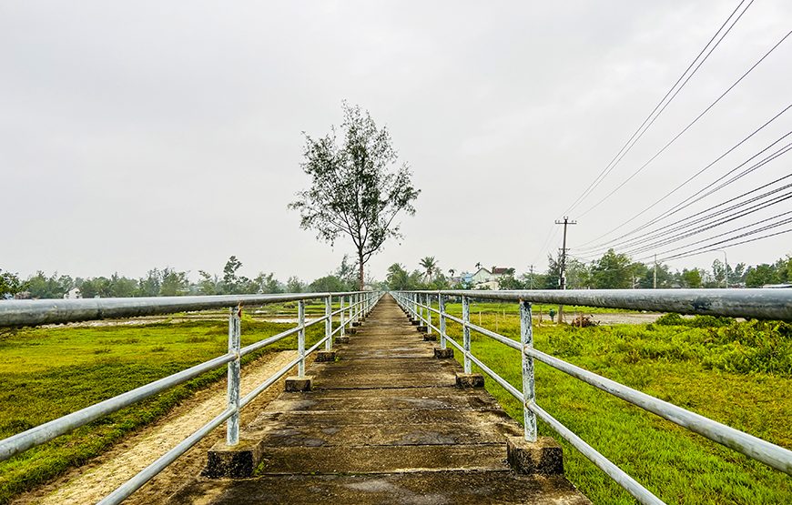 Full-day Countryside Trip To Hoi An’s South And An Exploration Of Sampan Producing
