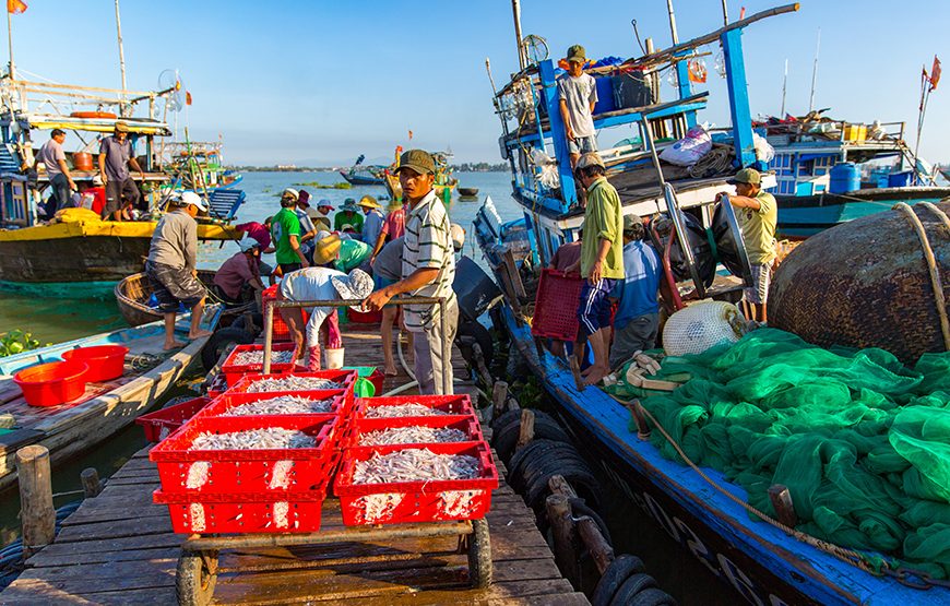 Full-day Countryside Trip To Hoi An’s South And An Exploration Of Sampan Producing