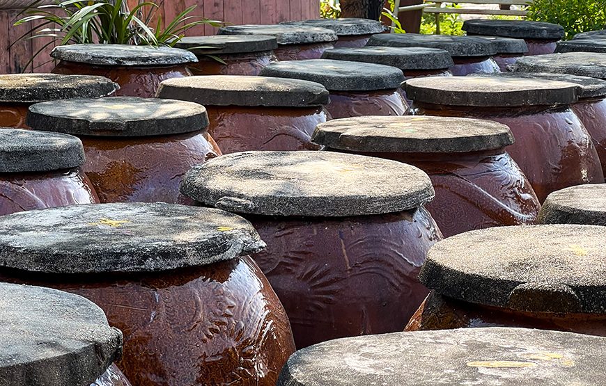 Full-day Immersed Im The Culture Of Vietnam’s Three Regions