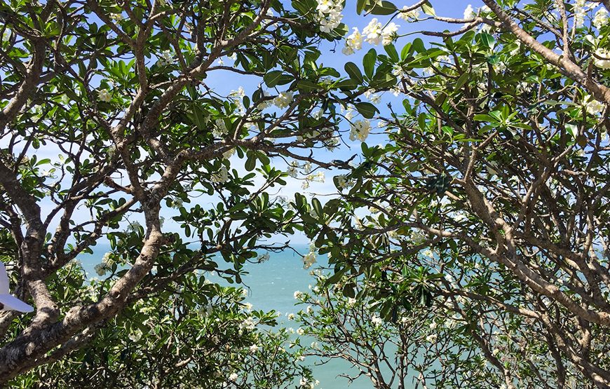 Full-day Vung Tau City Tour From Phu My Port