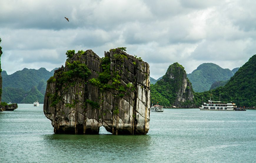Private tour: Full-day Ha Long Bay Day From Ha Noi