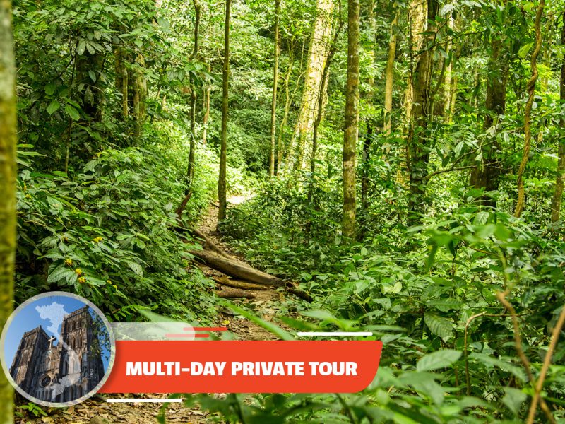 Private tour: Two-day Tam Coc & Cuc Phuong National Park From Ha Noi