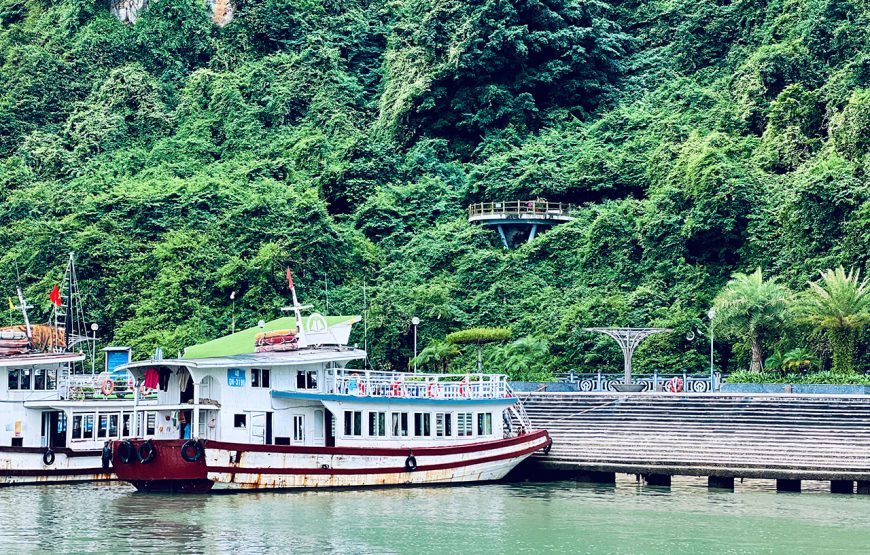 11 Days North To South Of Vietnam