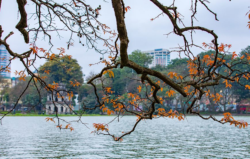 Private Tour: 5 Days North Of Vietnam