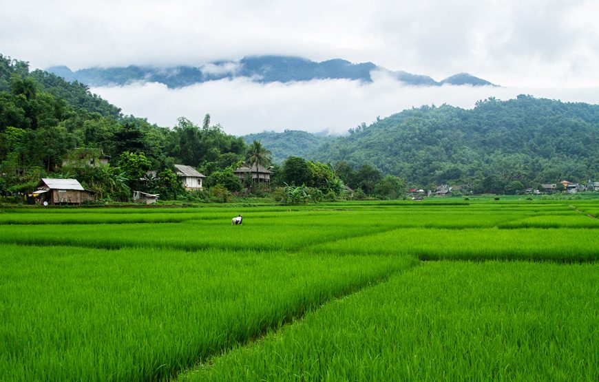 Two-day Mai Chau Tour And Homestay From Ha Noi