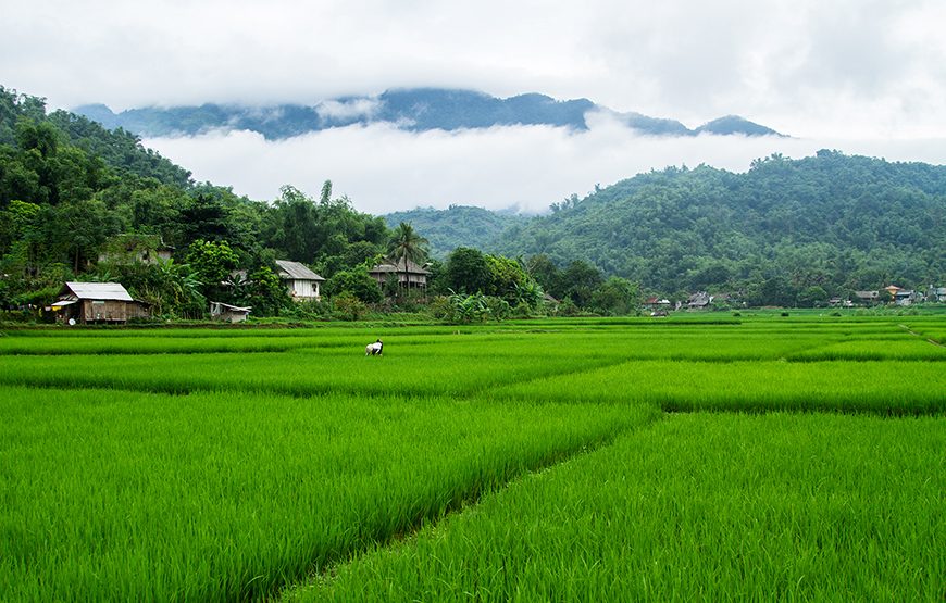 Full-day Discover Mai Chau From Ha Noi
