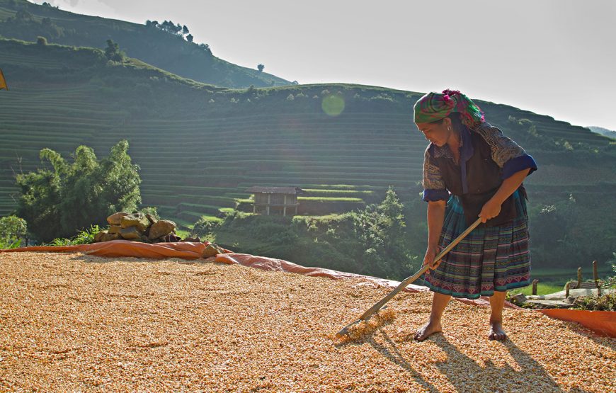 Two-day Spectacular Mountain Peak From Ha Noi