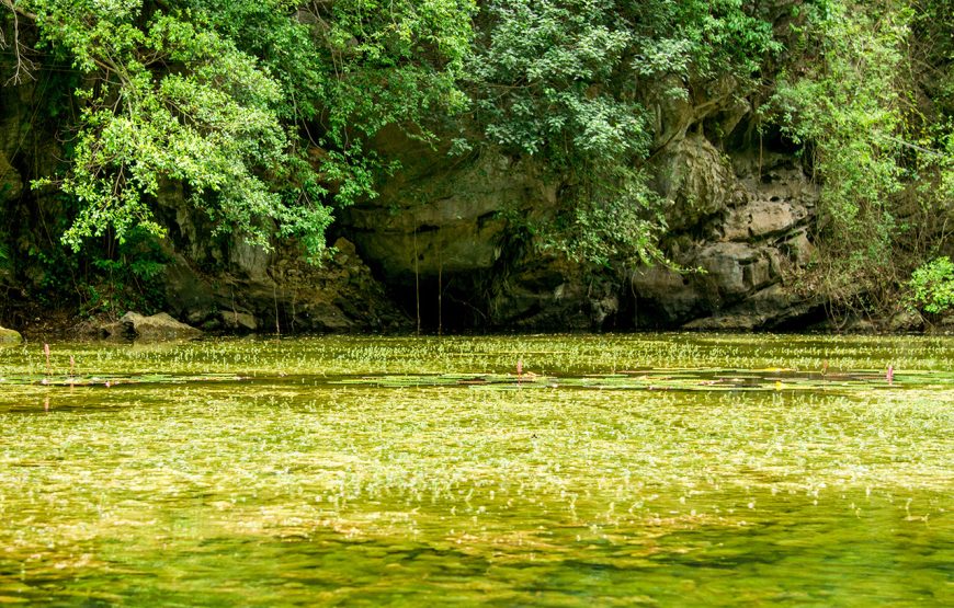 Private tour: Full-day Discover Ancient Hoa Lu And Trang An From Ha Noi