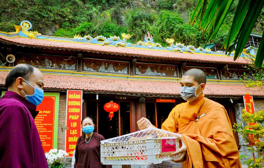 Private tour: Full-day Ha Long City Of Culture & Landscape From Ha Long Port