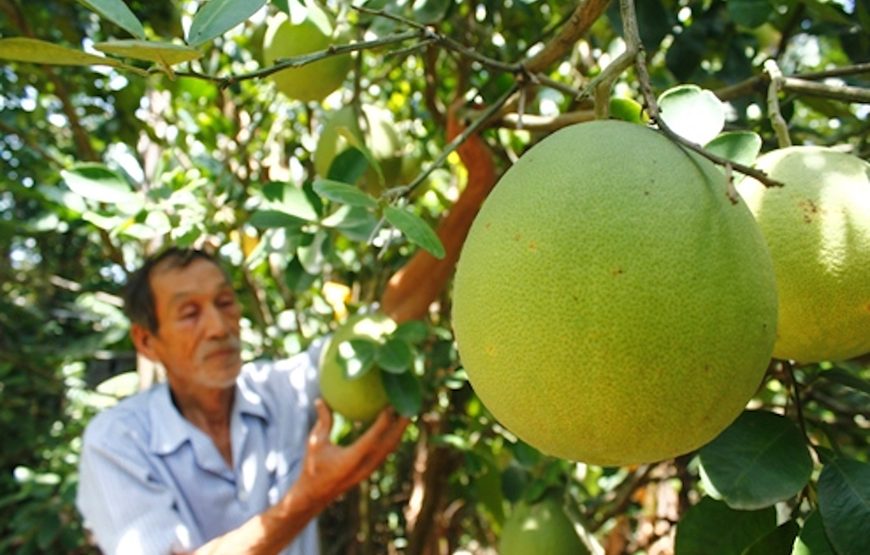 Private tour: Half-day Countryside By Bicycle From Hue City