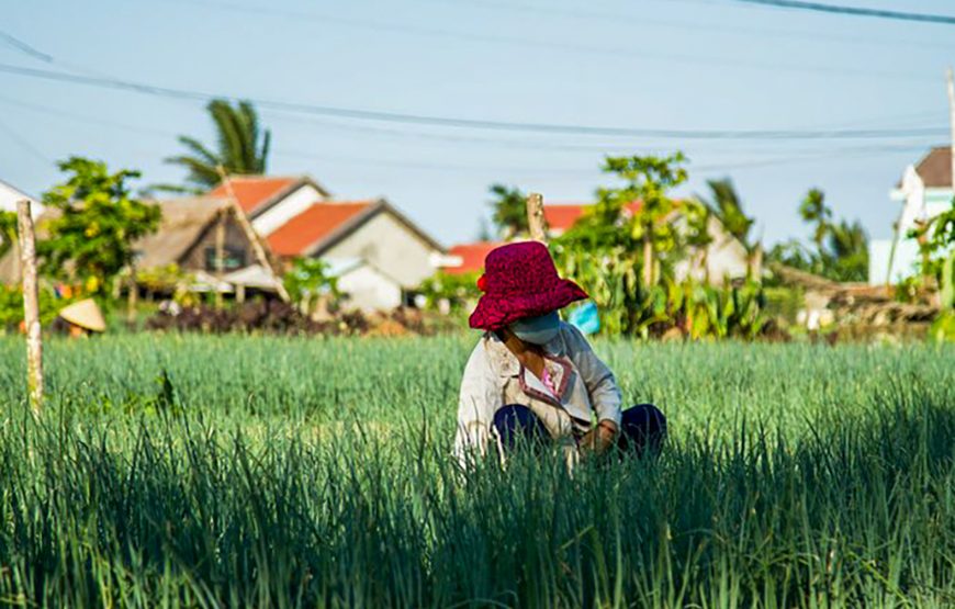 Private tour: Food Tour In Hue City