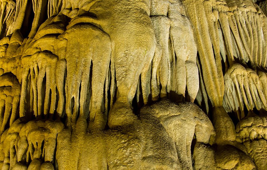 Full-day Phong Nha Cave From Hue City