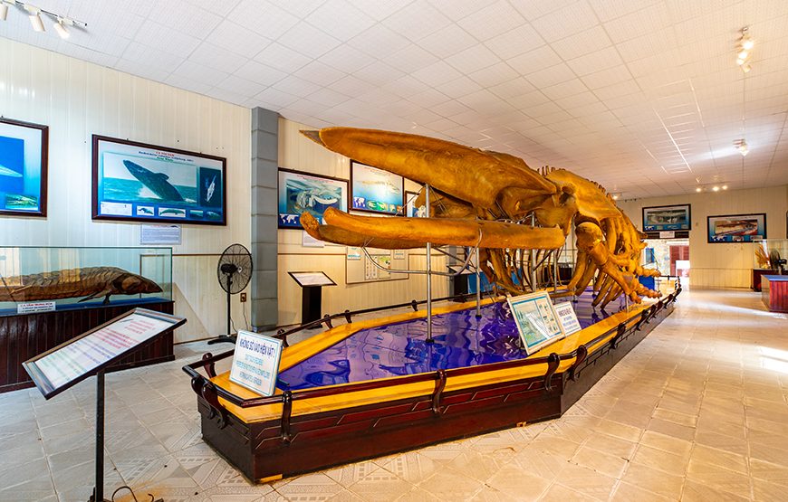 Full-day Nha Trang Island Discovery