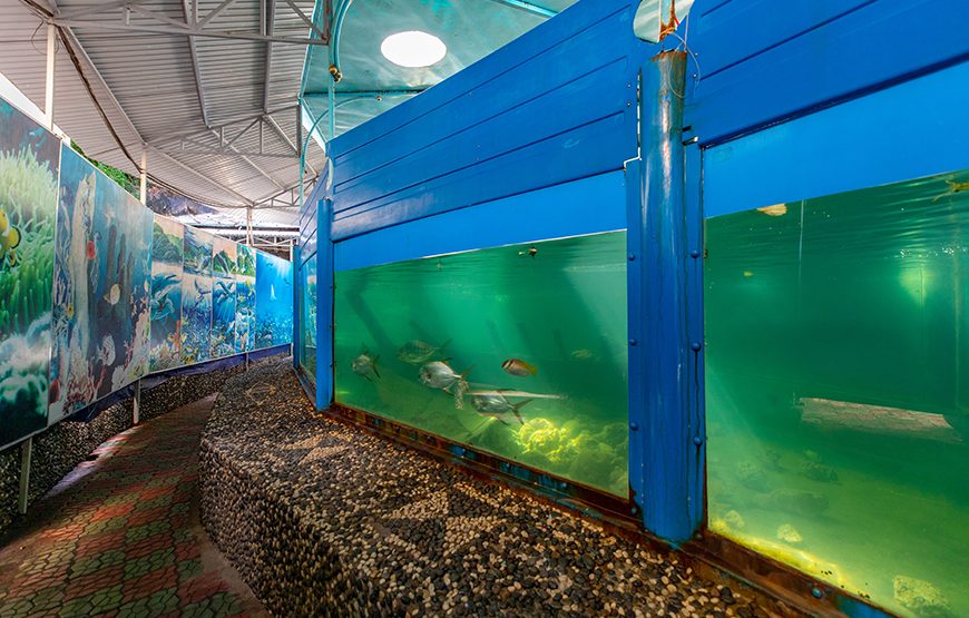 Full-day Nha Trang Island Discovery