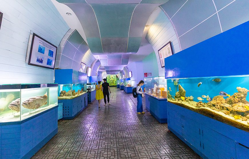 Full-day Nha Trang Island Discovery