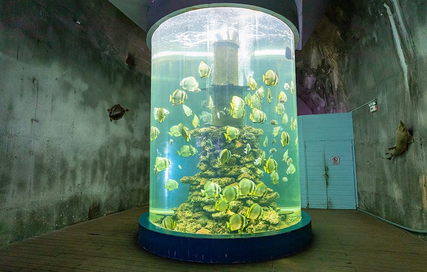 Full-day Nha Trang Island Discovery