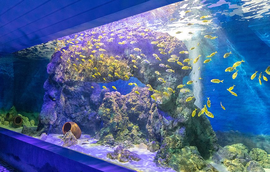 Full-day Nha Trang Island Discovery