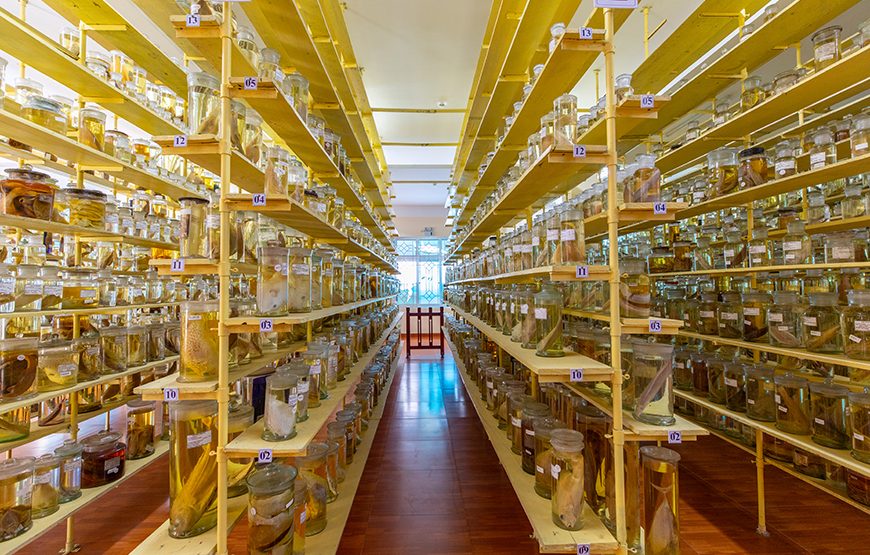 Full-day Nha Trang Island Discovery