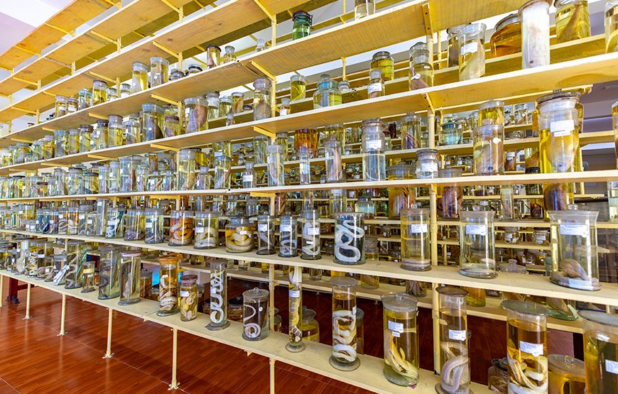 Full-day Nha Trang Island Discovery