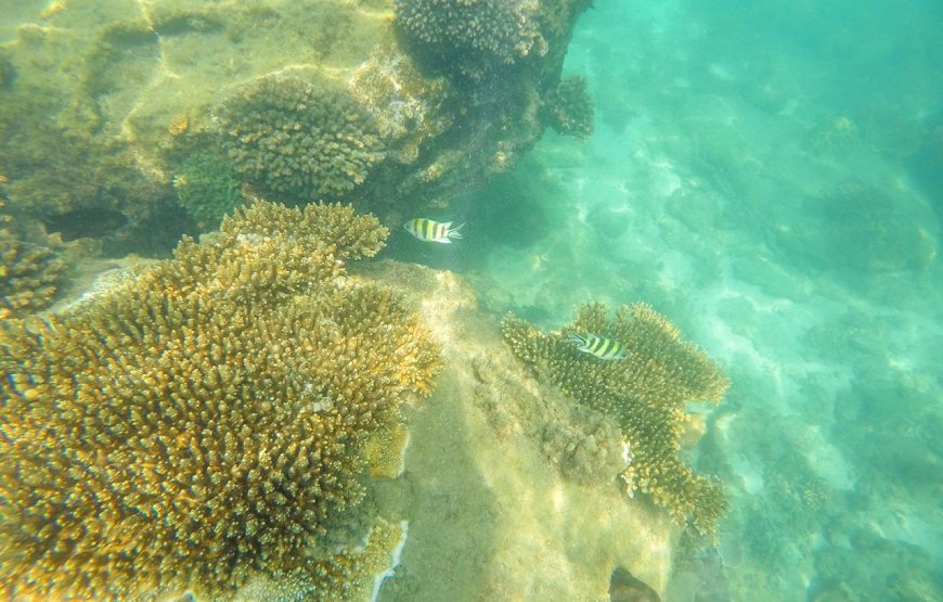 Scuba Diving – In The North Phu Quoc