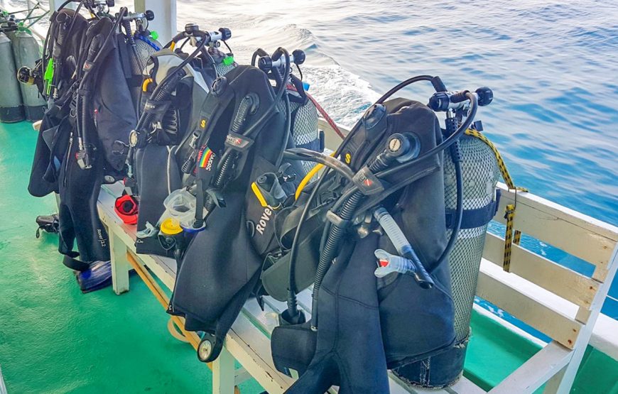 Scuba Diving – In The North Phu Quoc