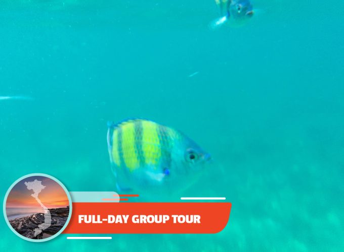 Scuba Diving – In The North Phu Quoc