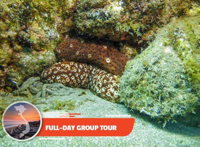 Scuba Diving – In The South Phu Quoc