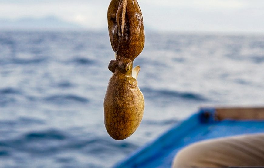 Full-day Snorkeling & Fishing Tour In Southern Phu Quoc Island