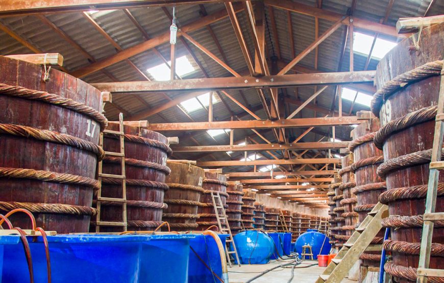 Full-day Phu Quoc Island – Southern Discovery