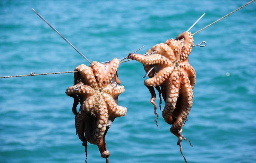 Private tour: Sunset Cruise And Night Squid Fishing In Phu Quoc