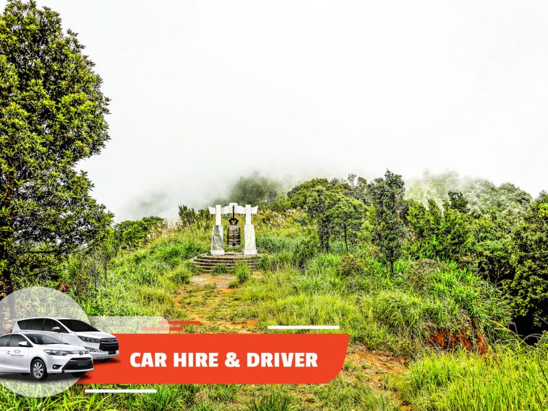 Car Hire & Driver: Da Nang Center – Bach Ma (Full-day)