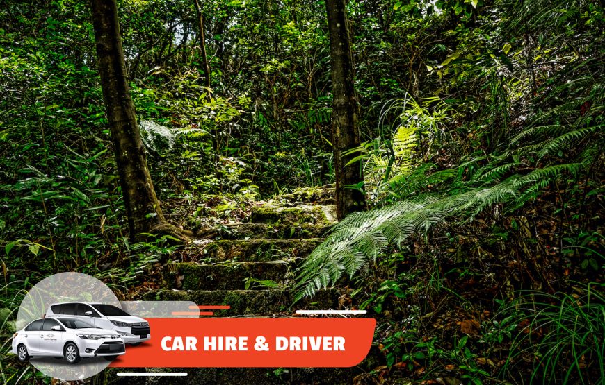 Car Hire & Driver: Hoi An – Bach Ma (Full-day)