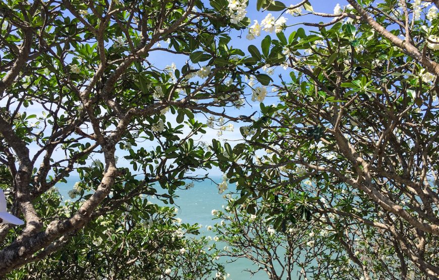 Private tour: Two-day Vung Tau Beach Trip From Ho Chi Minh City