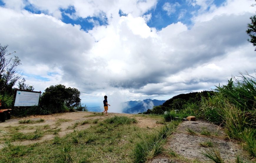 Da Nang: Marathon & Central Vietnam Explore 4-Night Package