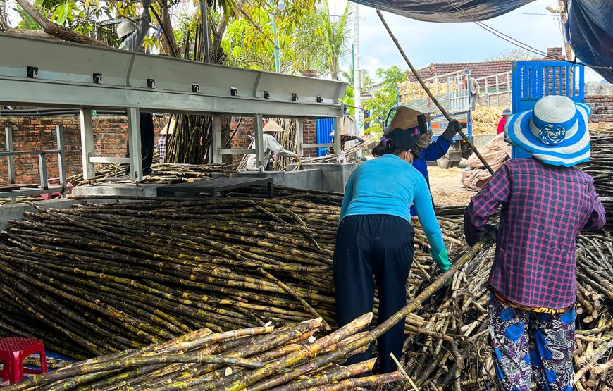 Private tour: Half-day Fish Village & Famous Vietnam Sampan