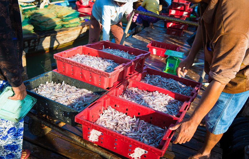 Private tour: Half-day Fish Village & Famous Vietnam Sampan